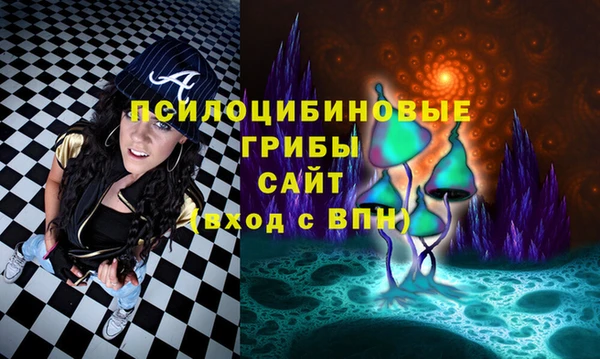 метамфетамин Алексин