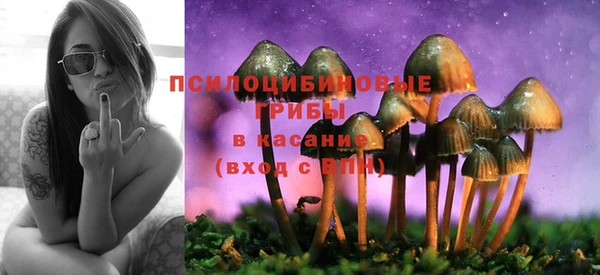 каннабис Абаза
