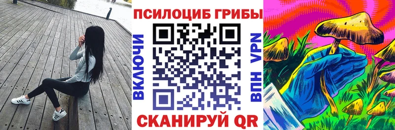 сайты даркнета наркотические препараты  Нюрба  Галлюциногенные грибы Magic Shrooms 